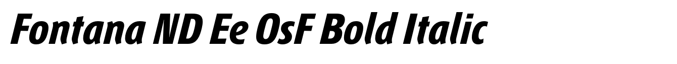 Fontana ND Ee OsF Bold Italic